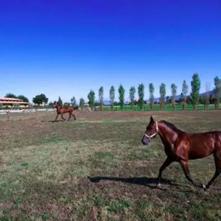 Il Baio Relais & Natural מלון Camporoppolo