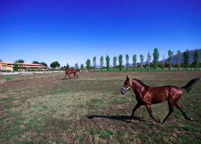 Il Baio Relais & Natural Hotel Camporoppolo